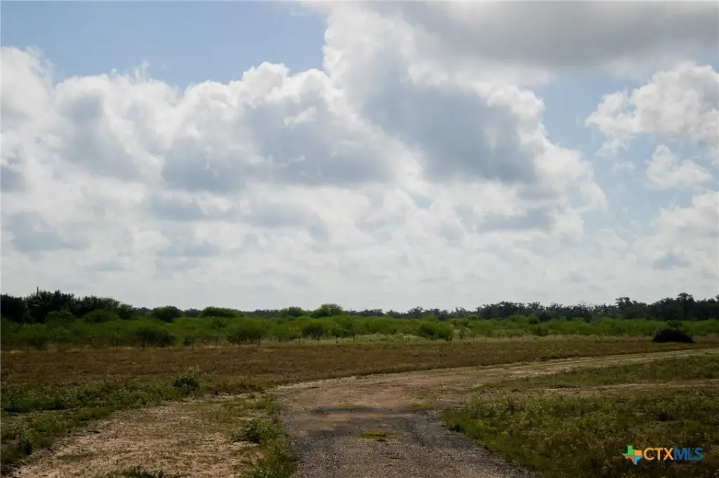 Picture 6