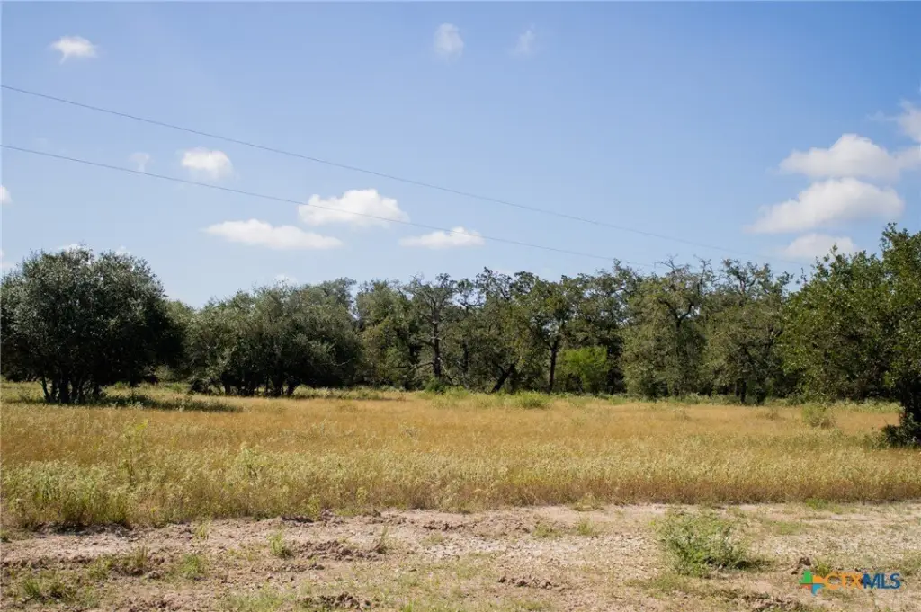 Picture 20