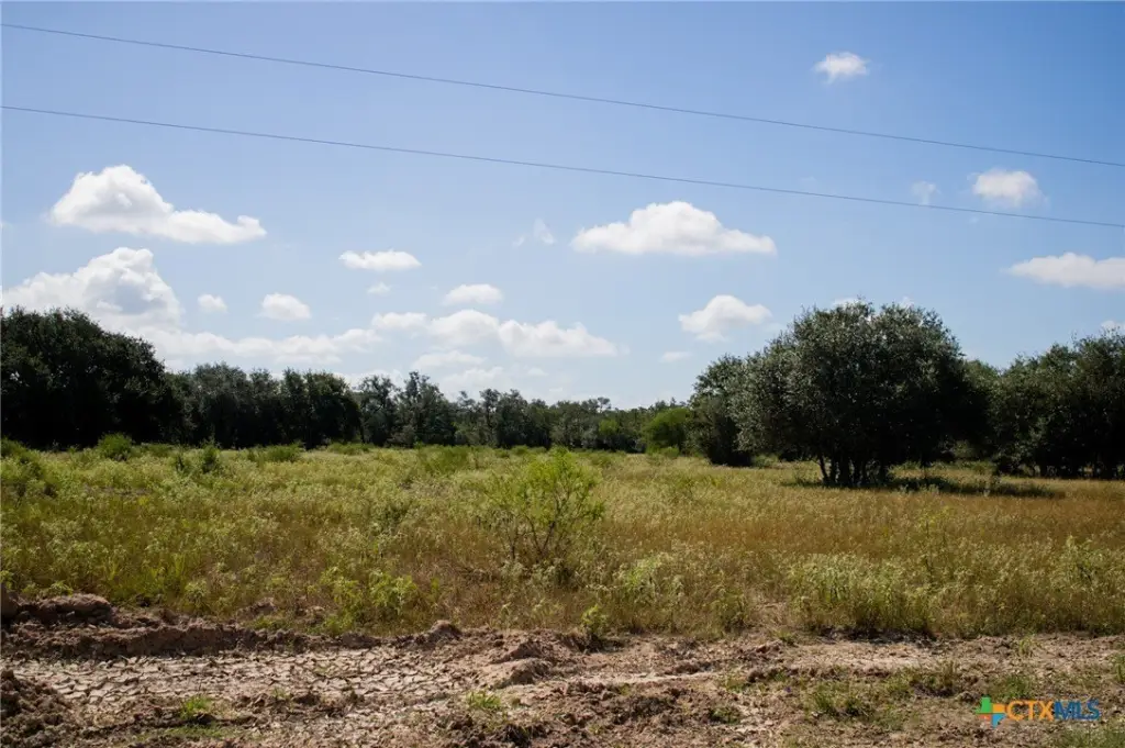 Picture 21
