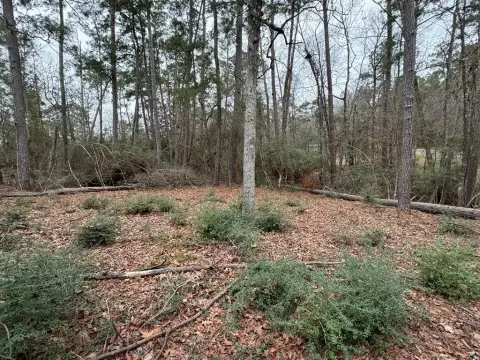 Residential Land in Holiday Lake