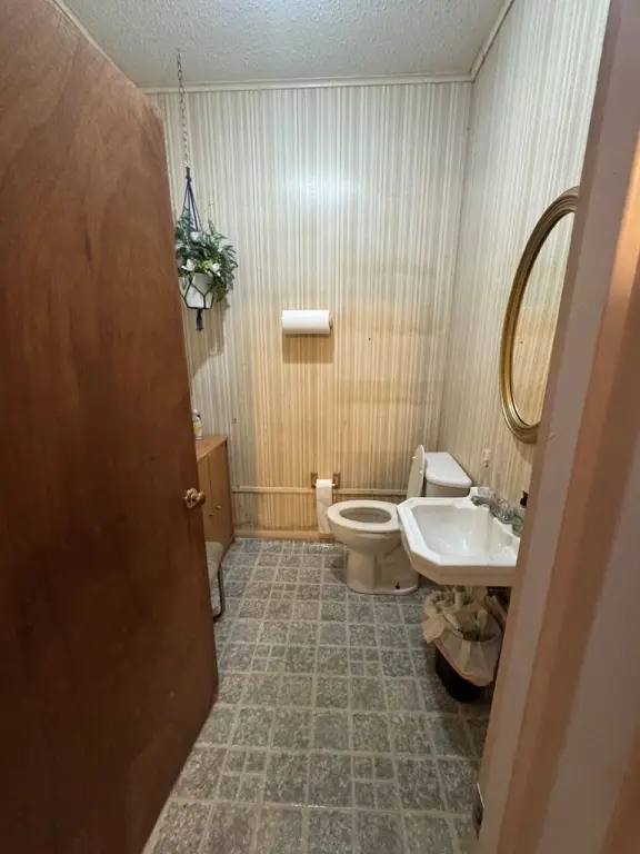 Picture 15