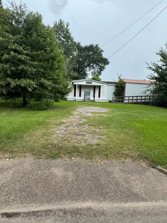 Picture 19