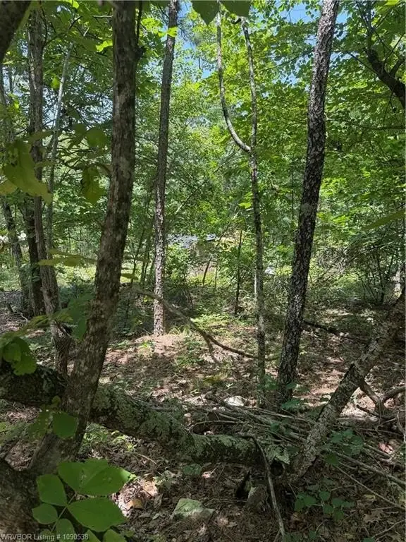 Picture 33