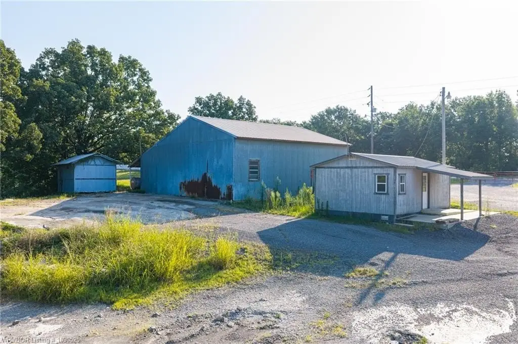Picture 4