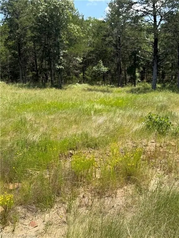 Picture 25