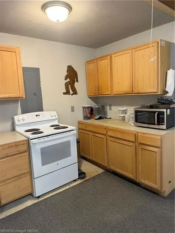 Picture 12