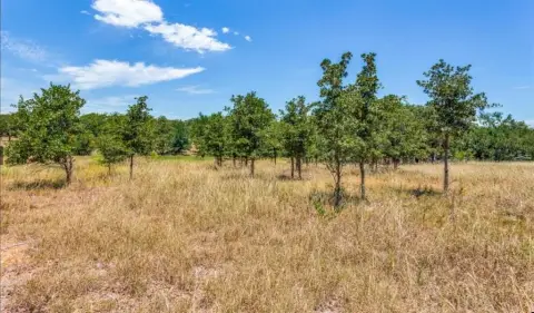 Land in Sugartree on Brazos