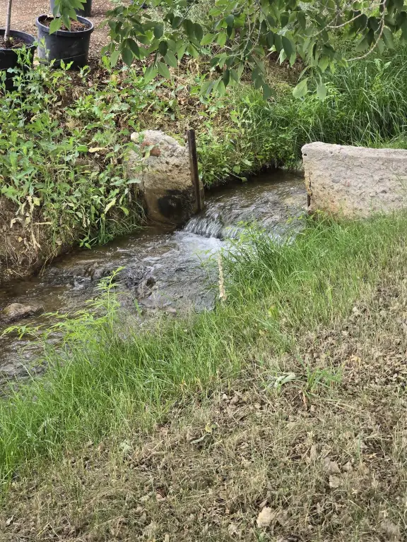 Picture 26