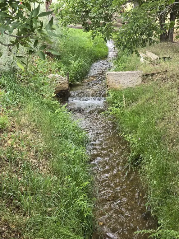 Picture 27