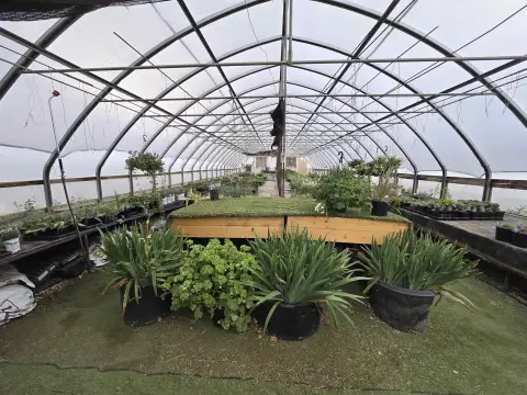 Nursery Property with Greenhouses