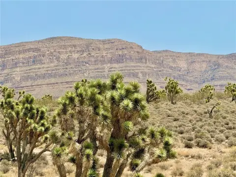 Land Near Lake Mead
