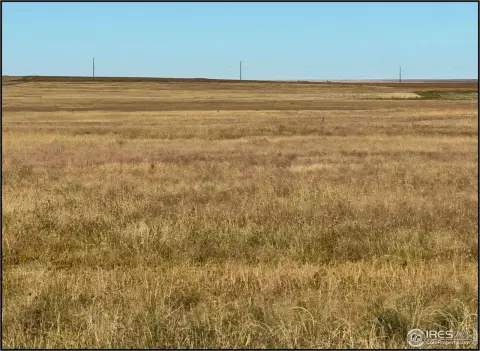 Productive Dryland Farm in Cheyenne
