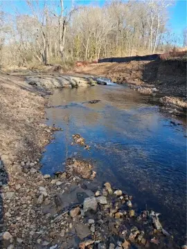 Lowell Land with Stream Access