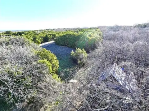 55 Acres with Rustic Cabin