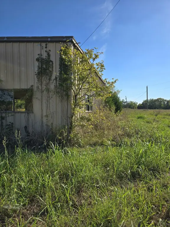Picture 28