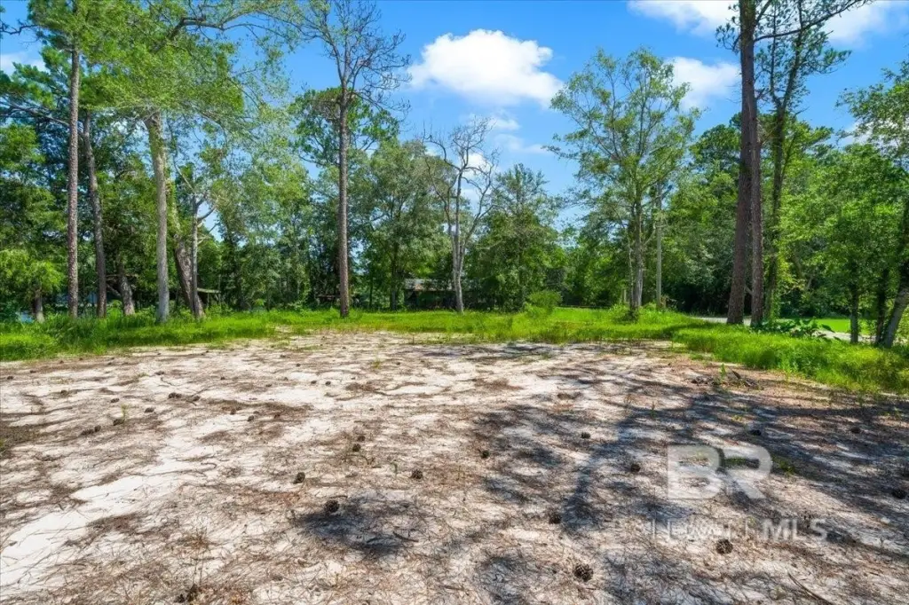 Picture 16