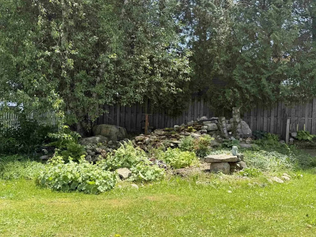 Picture 15