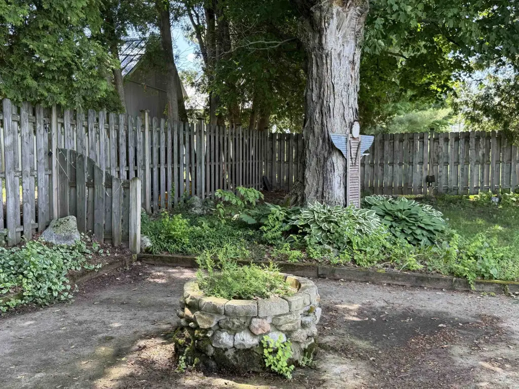 Picture 16
