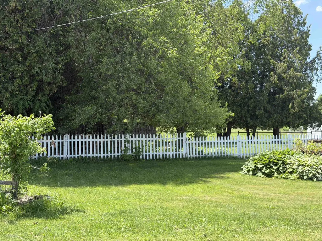 Picture 5