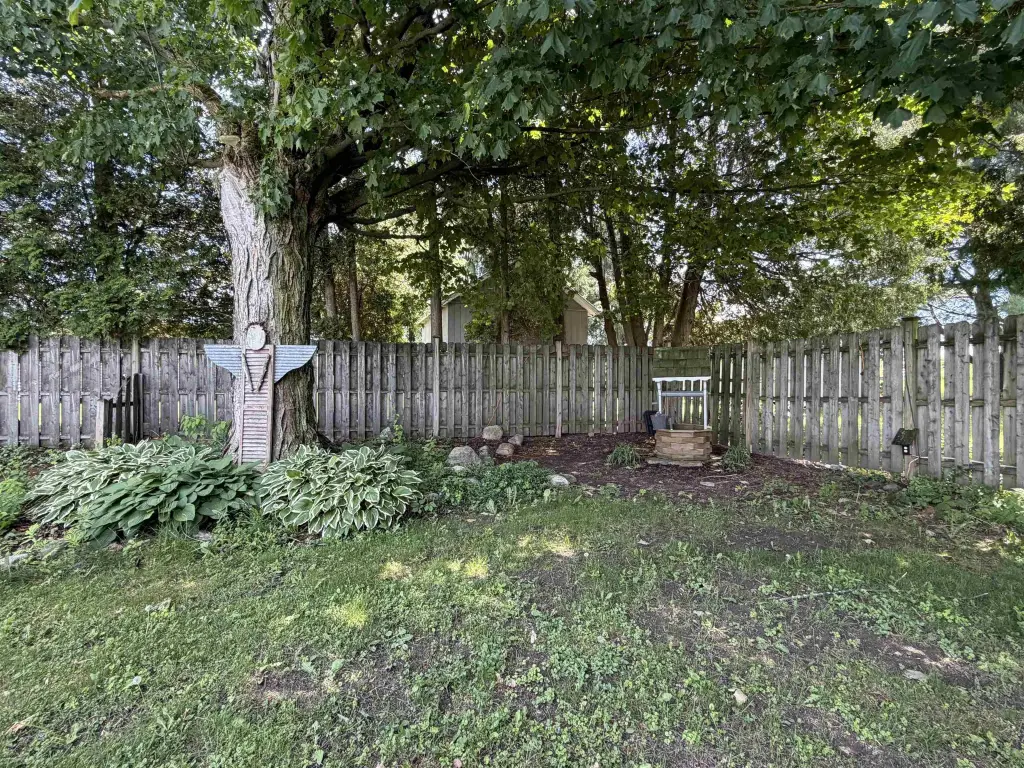Picture 17
