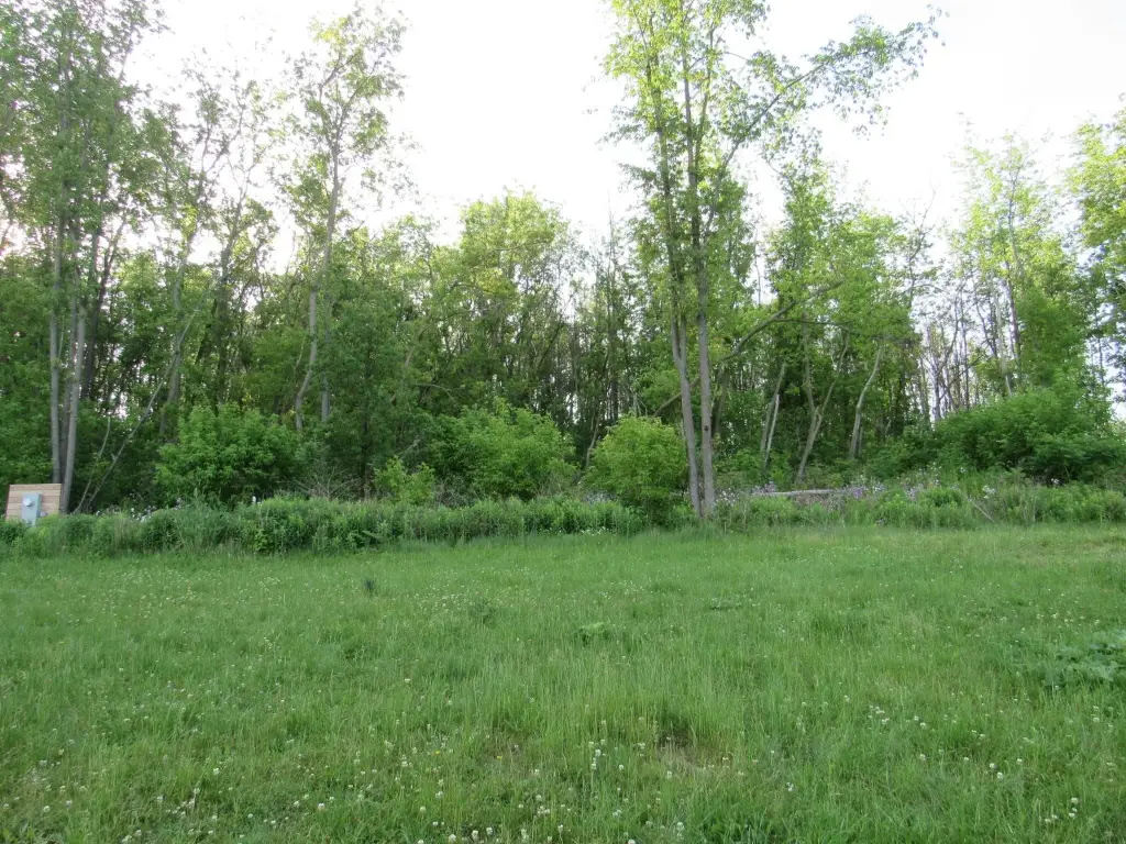 Picture 14