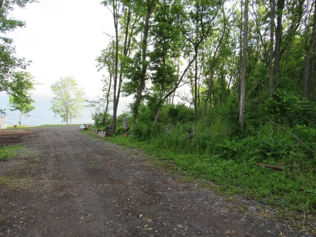Picture 9