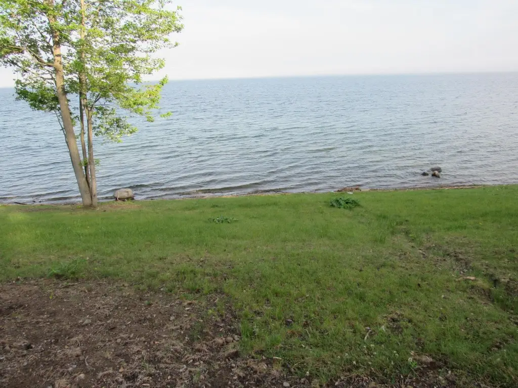 Picture 4