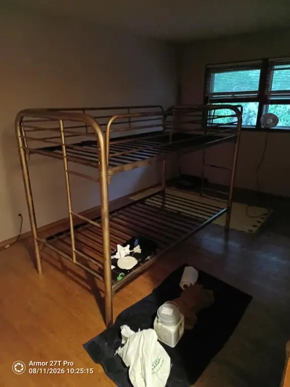Picture 4