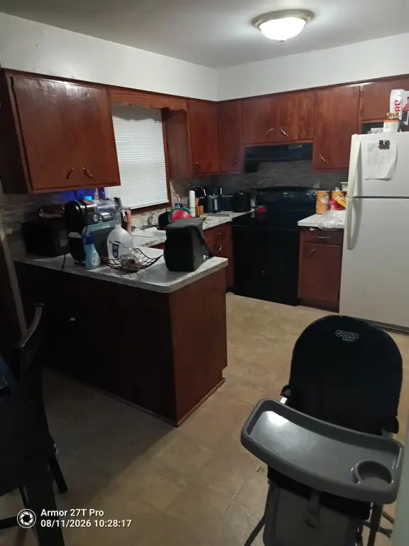 Picture 2