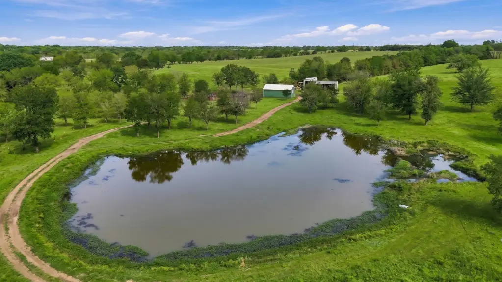 Picture 9