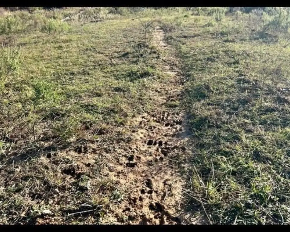 Picture 8
