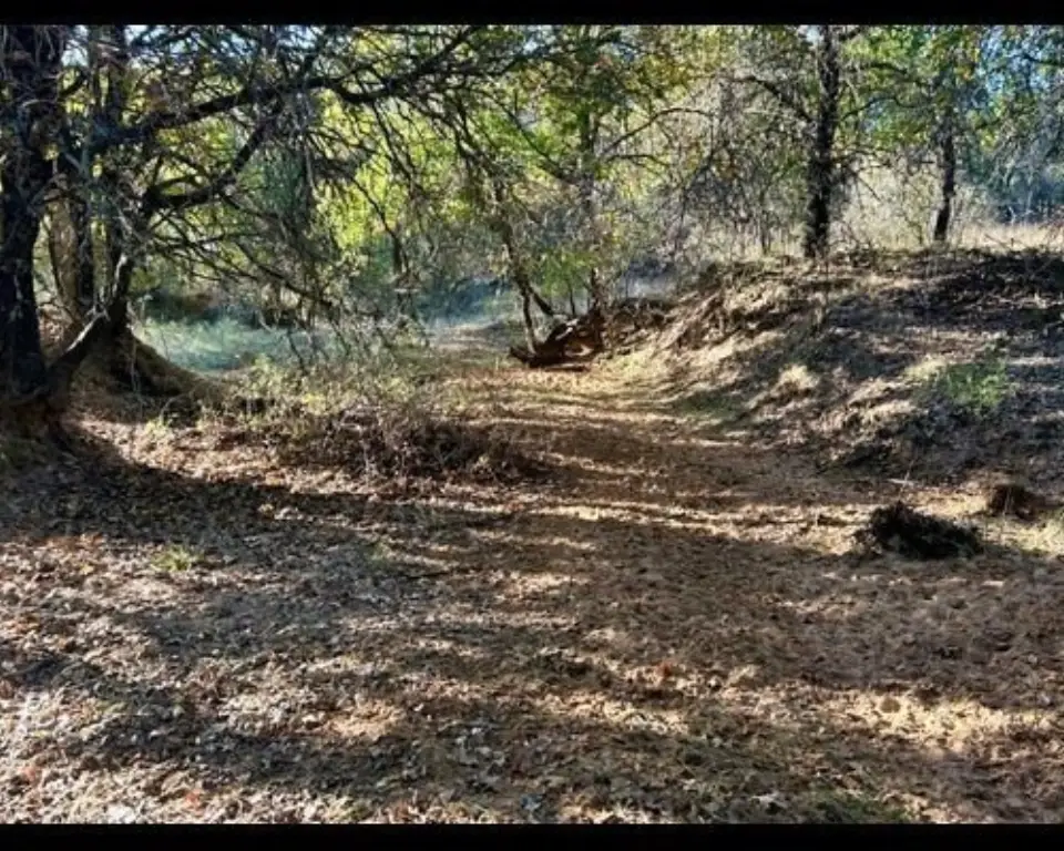Picture 6