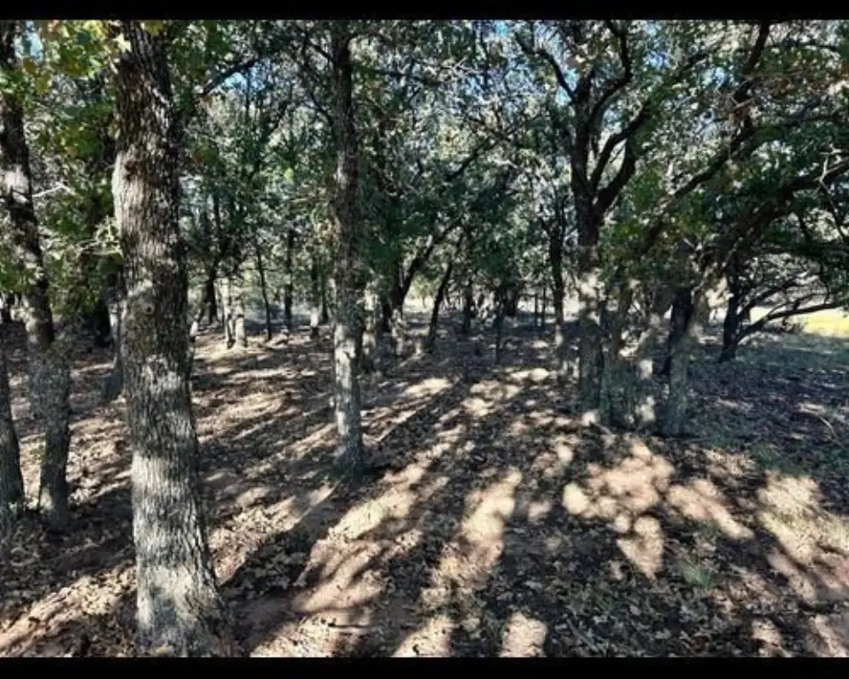 Picture 14
