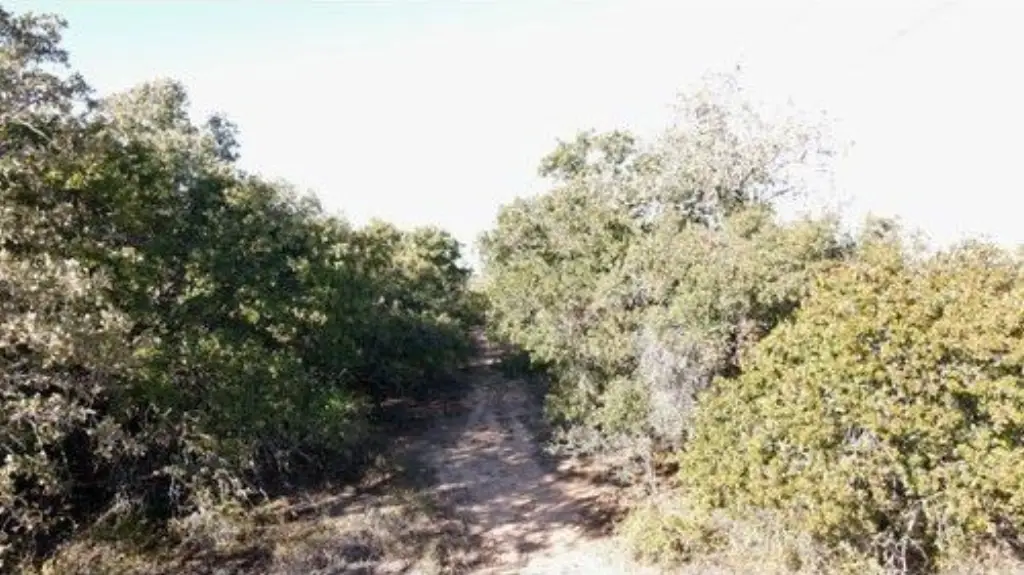 Picture 18
