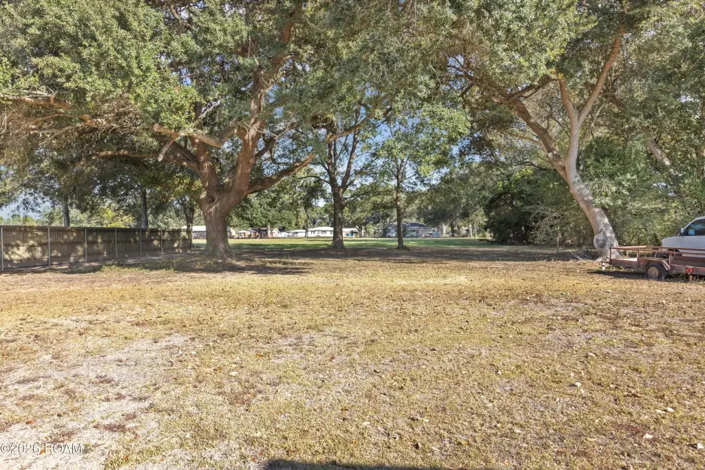 Picture 25