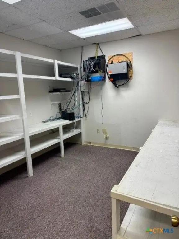 Picture 19
