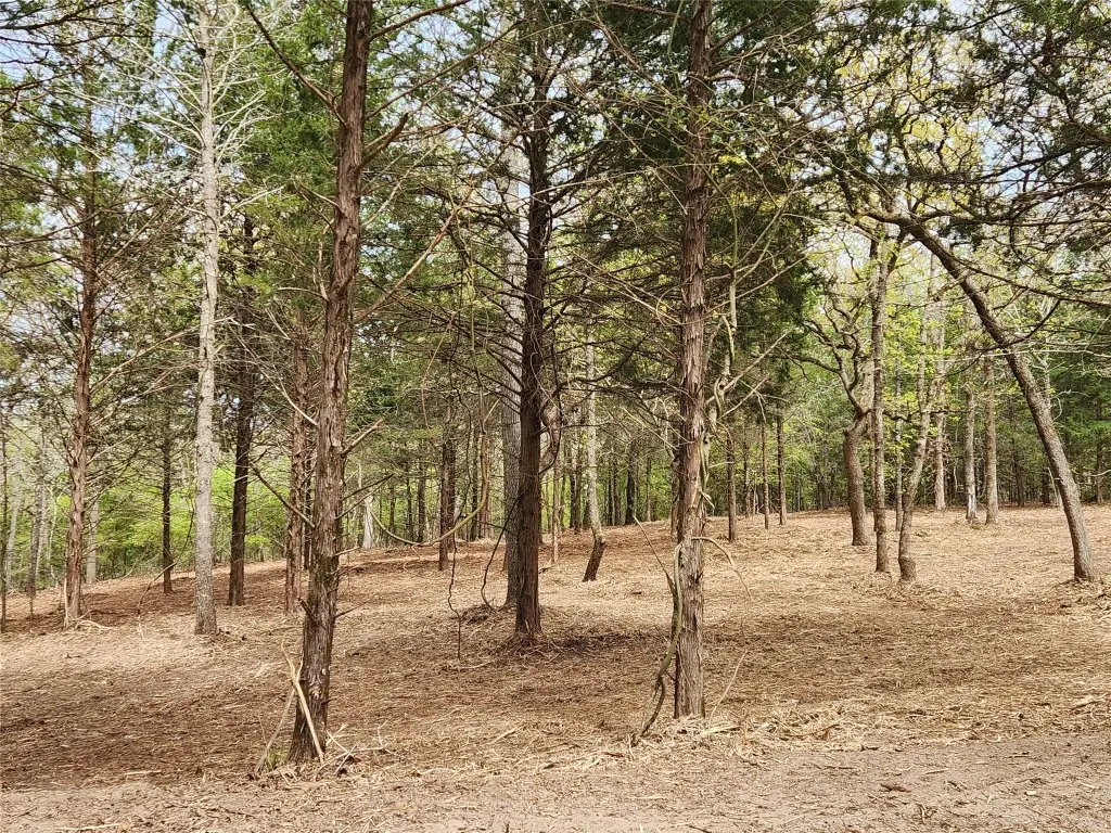 Picture 9