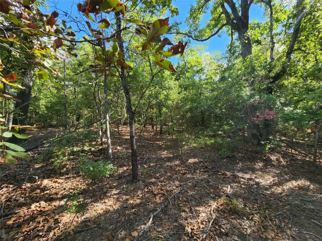 Picture 29