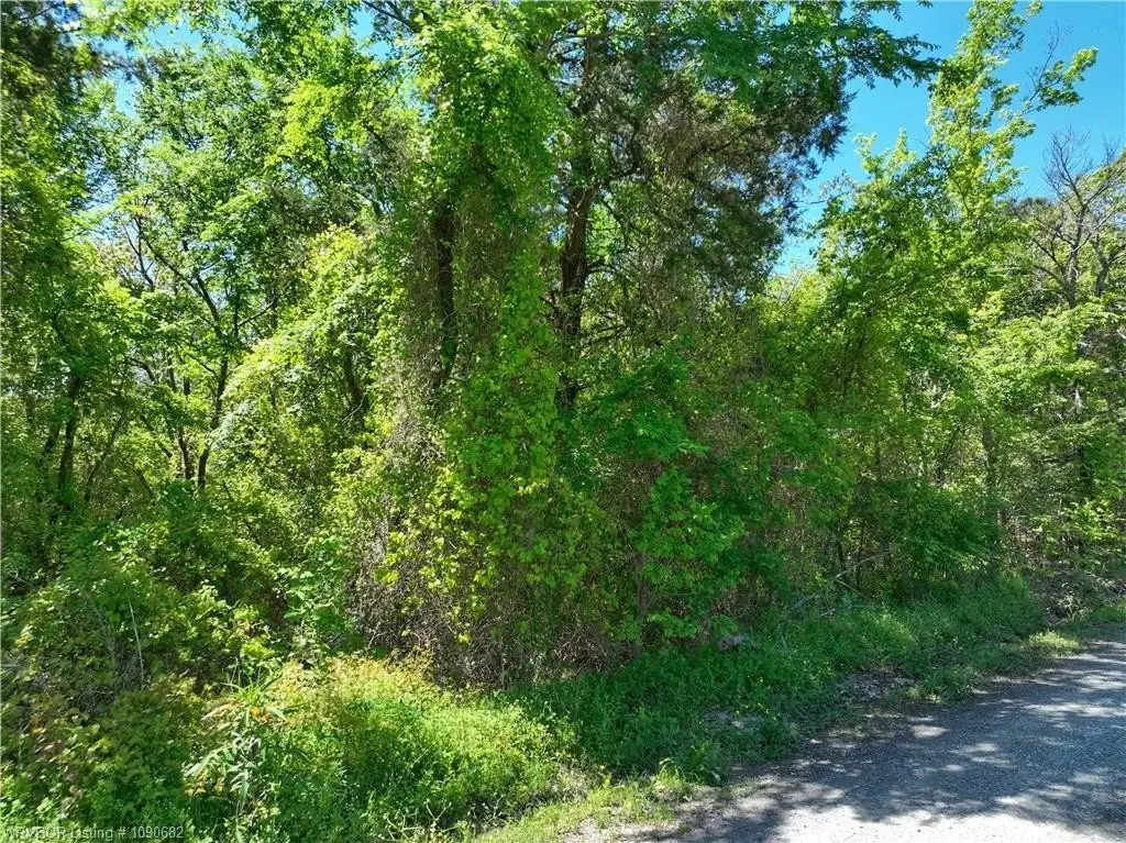 Picture 16