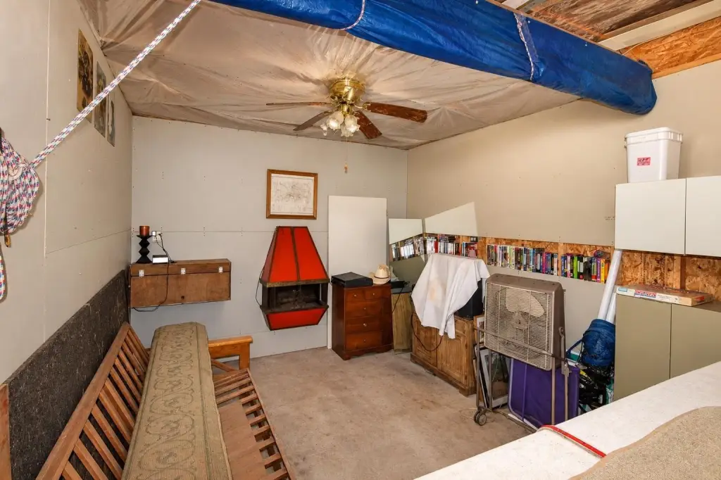 Picture 8