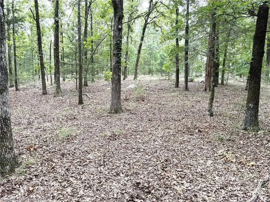 Picture 4