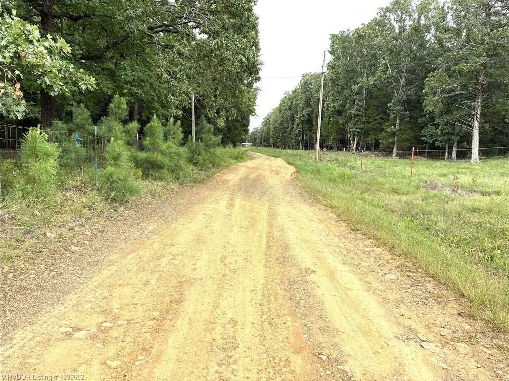 Picture 6