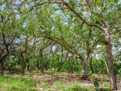 Unrestricted Hill Country Land Parcel