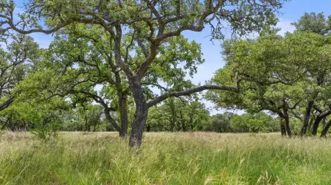 Texas Hill Country Acreage