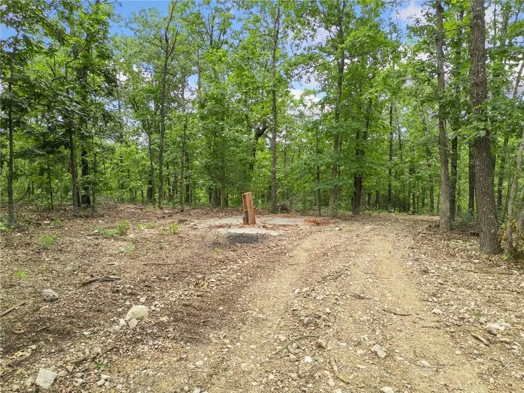Picture 10
