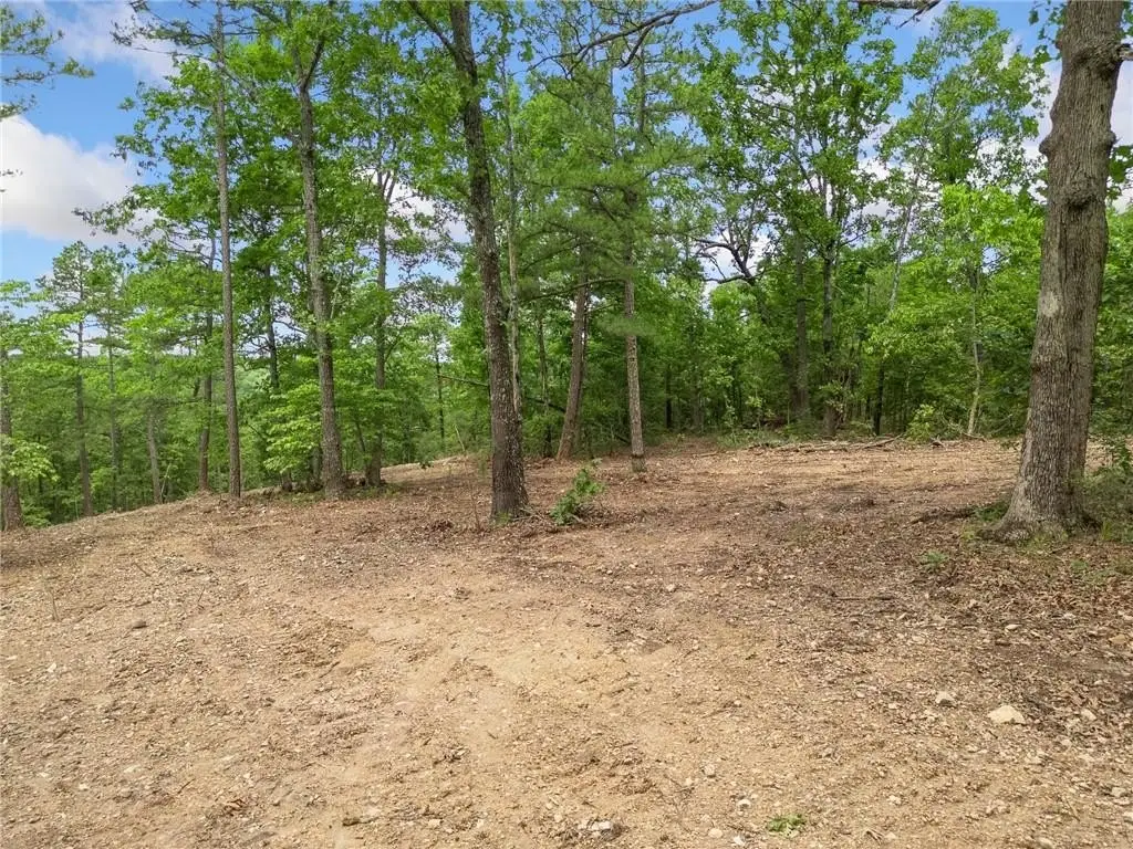 Picture 12