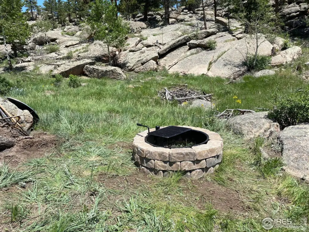 Picture 5