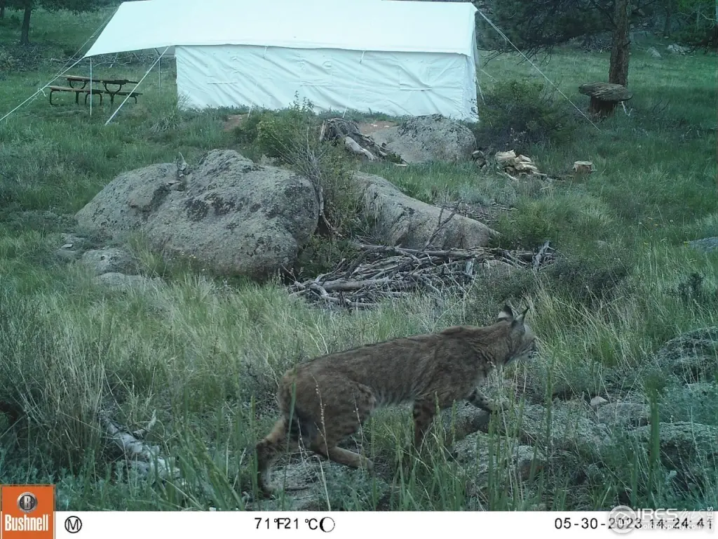 Picture 14