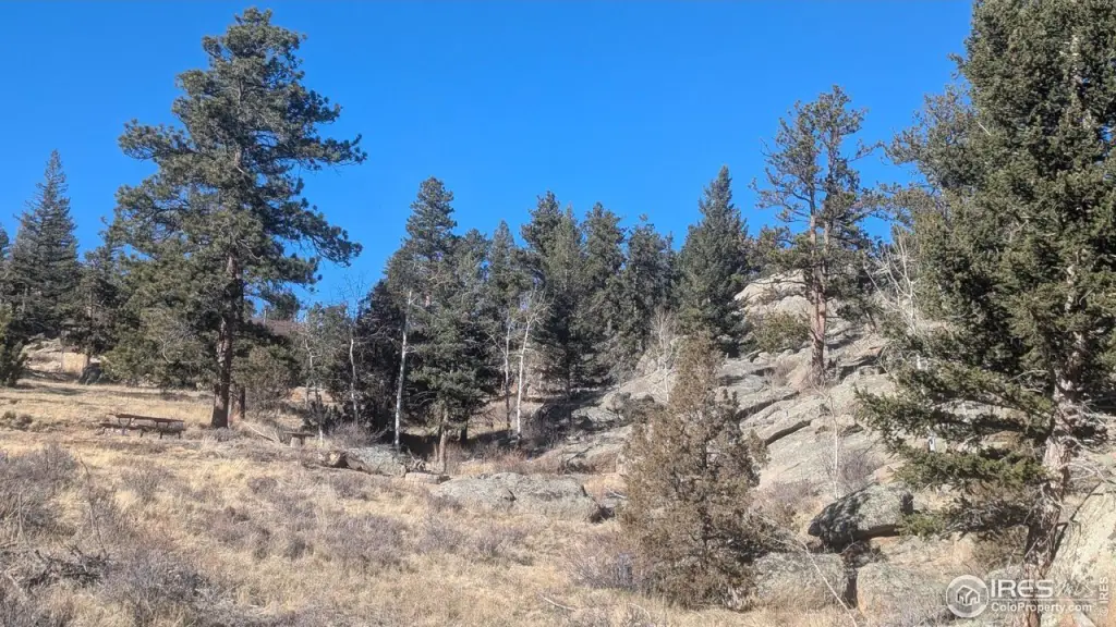 Picture 38
