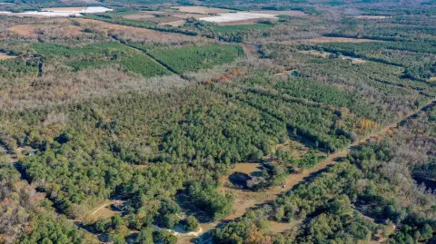 41.87 Acres Near Salley